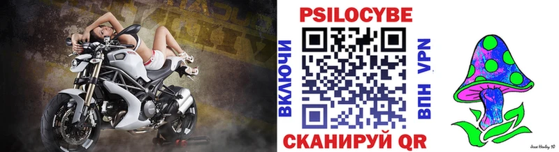 Псилоцибиновые грибы Psilocybe  где продают наркотики  Верхнеуральск 